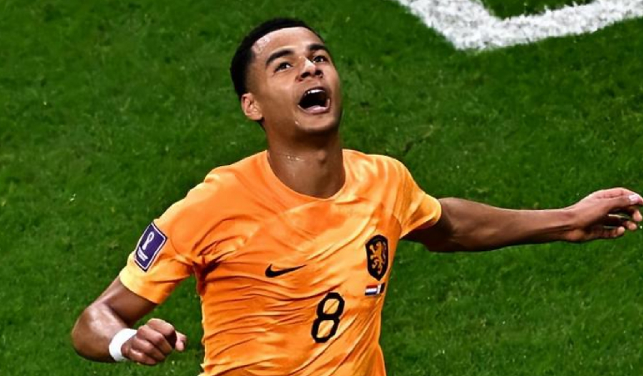 加时末段利物浦备战荷甲；火线驰援细节流出；话题不断；纪律约束更严格的简单介绍